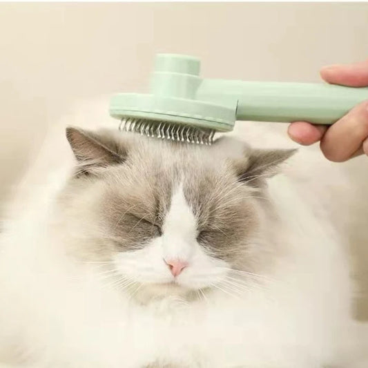 CalmCoat Brush